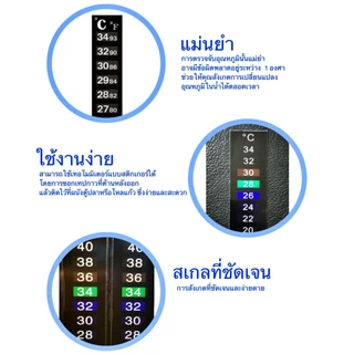 คอมบูชา หมักได้ 7 ลิตร Kombucha Scoby สโคบี้+น้ำหัวเชื้อหมักตั้งต้น 700ml พร้อมคู่มือการหมัก