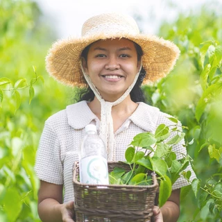 น้ำสกัดย่านาง CoolinGreen เซ็ต 3 ขวด คละสูตรได้