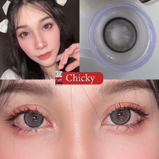 ✨ Chicky gray (Lovely lens) ขนาดตาโต ✔️เลนส์จดทะเบียนถูกต้อง (บิ๊กอาย คอนแทคเลนส์ bigeyes)