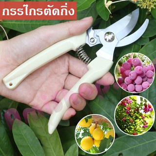 กรรไกรตัดกิ่ง กรรไกรตัดแต่งกิ่งไม้ ปากโค้ง กรรไกรตอนกิ่ง ทำสวน Pruning shears