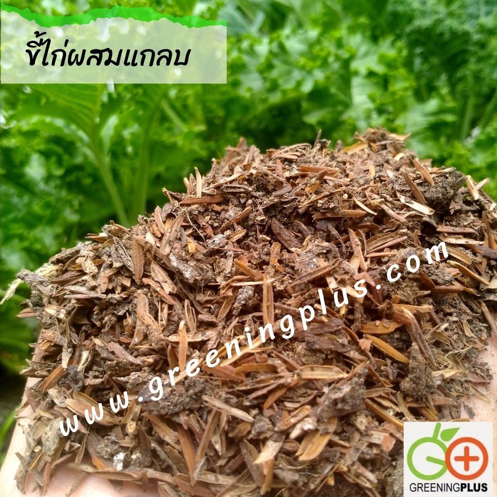 Fertilizer 60 บาท ขี้ไก่ผสมแกลบ100% จำนวน 1 ถุง./6 กก. Home & Living