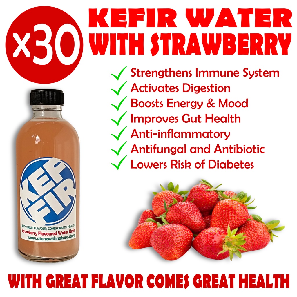 Kefir Water  Healthy Probiotic-Rich Drink that is loaded with Probiotics, Antioxidants, B-vitamins - 250ml Glass Bottle