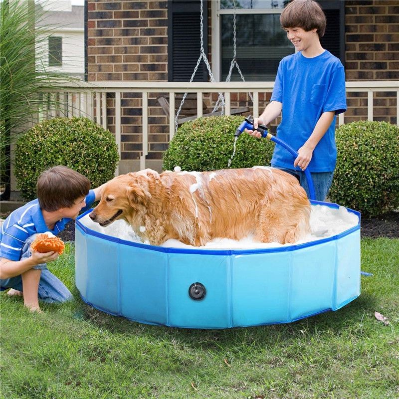 ◊อ่างอาบน้ำสัตว์เลี้ยง สุนัข อ่างอาบน้ำสัตว์เลี้ยงพับได้ สระว่ายน้ำ อ่างอาบน้ำยา ขนาดกลาง สุนัขฝรั่งเศส สุนัขขนาดใหญ่ โก