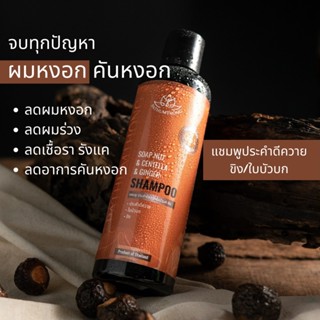 Pathumthong แชมพูประคำดีควาย ลดหงอก ลดผมร่วง บำรุงหนังศรีษะ 250ml