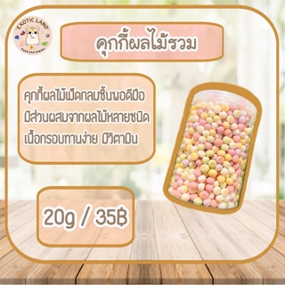 [Exotic land] คุกกี้ผลไม้รวม สำหรับแฮมเตอร์