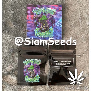 เมล็ดกัญชา Kickflip Genetics Lemon Glazed Donuts Regular Cannabis Seeds (Pack of 5+)