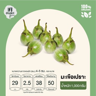 WB Organic Farm มะเขือเปราะ 1000 กรัม ผักสลัด มาตรฐานออร์แกนิค ปลอดสารพิษ 100%  เก็บใหม่ทุกออเดอร์ เก็บ-แพ็ค-ส่งตรงจาก