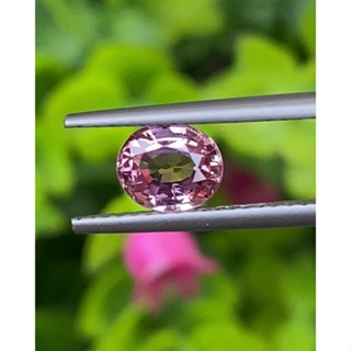 พลอย ชมพู ส้ม แซฟไฟร์ Orangy Pink Sapphire 0.81 กะรัต (Cts.) พลอยแท้ อัญมณีมงคลประจําวันเกิด เครื่องประดับพลอย