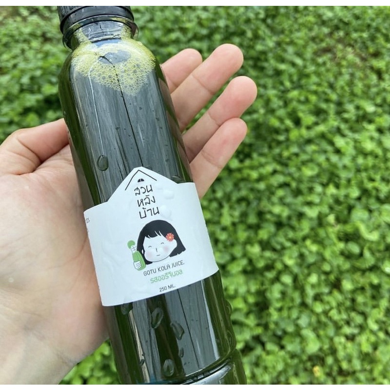 น้ำใบบัวบกคั้นสด จัดส่งฟรี ไม่ใส่น้ำตาล(Set30,40ขวด) ผ่านรถควบคุมอุณหภูมิ