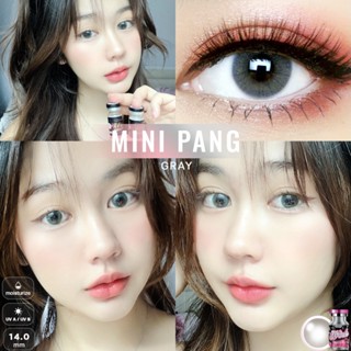 ร้านเลนส์สวยคอนแทคWink รุ่น Mini Pang /สีGray/รุ่นMini Frig สีน้ำตาลไม่มีค่าสายตา มีอย.ไทยของแท้100%(แฟชั่นสุดHit ขายดี)