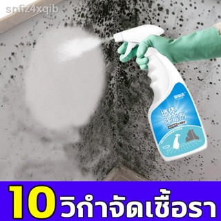 ✨1 นาทีเห็นผล✨AP กำจัดเชื้อรา น้ำยากำจัดเชื้อรา สเปรย์กำจัดเชื้อรา 500ml กำจัดเชื้อรา 99.9% เพียงสเปรย์เดียว ไม่ทำร้ายผน