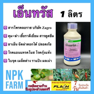 เอ็นทรัส ขนาด 1 ลิตร โพรคลอราช สารคุม+กำจัดเชื้อราดีเยี่ยม สูตรเย็น ฉีดผ่าดอกได้ ปลอดภัย โรคแอนแทรคโนส กุ้งแห้ง ใบจุด