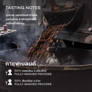 Roots Coffee เมล็ดกาแฟ Everyday Cup Blend ขนาด 200g คั่วระดับกลางเกือบเข้มเหมาะสำหรับชงด้วยเครื่อง Espresso และ Moka Pot