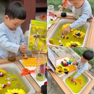 Bee life cycle Sensory play วงจรชีวิตผึ้ง วงจรชีวิตสัตว์(พร้อมส่ง)