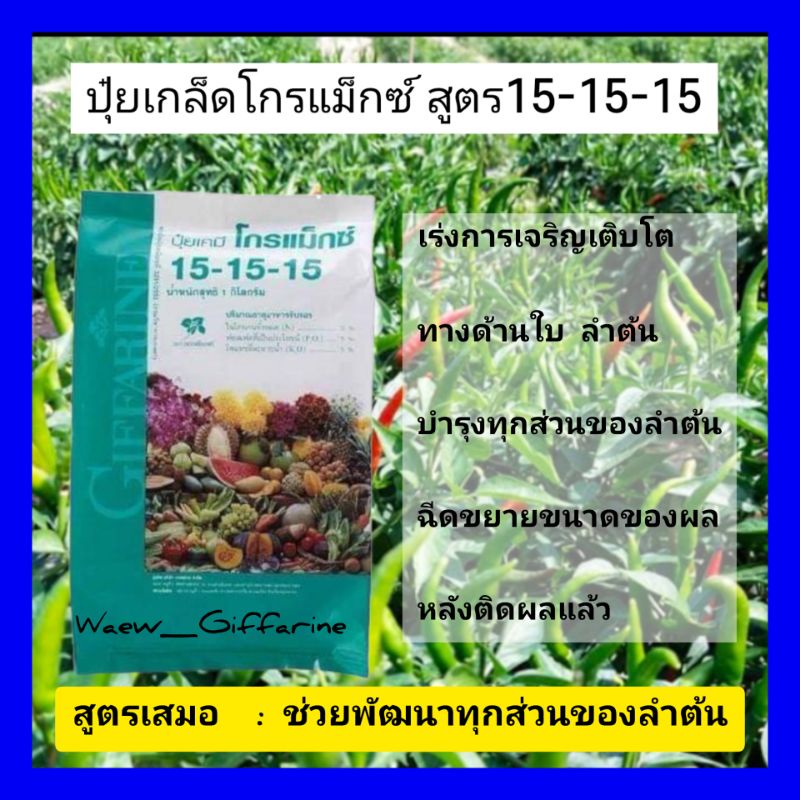 [ส่งฟรี]ปุ๋ยกิฟฟารีน ปุ๋ยเกล็ดโกรแม็กซ์ สูตร15-15-15 ปุ๋ยฉีดทางใบ สูตรเสมอพัฒนาทุกส่วนของลำต้นใช้แทน