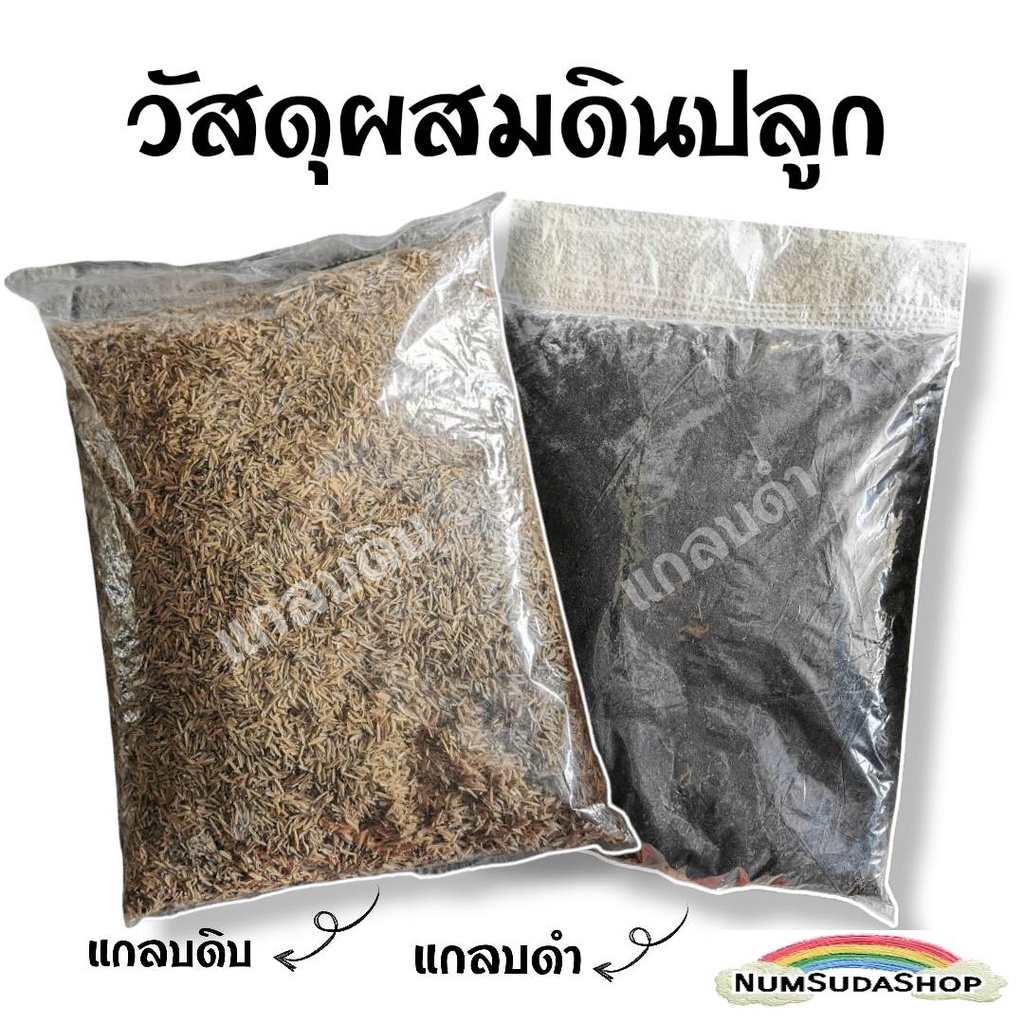 แกลบดิบ แกลบดำ แกลบเหลือง แกลบเผา วัสดุเพาะปลูก ต้นไม้