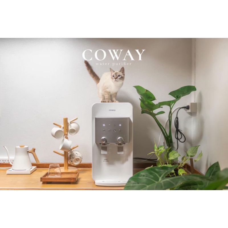 เครื่องกรองน้ำ coway CHP-264L neo plas