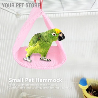 Your Pet Store เปลตาข่าย ระบายอากาศ แบบนิ่ม สําหรับสัตว์เลี้ยง หนูแฮมสเตอร์ นกแก้ว