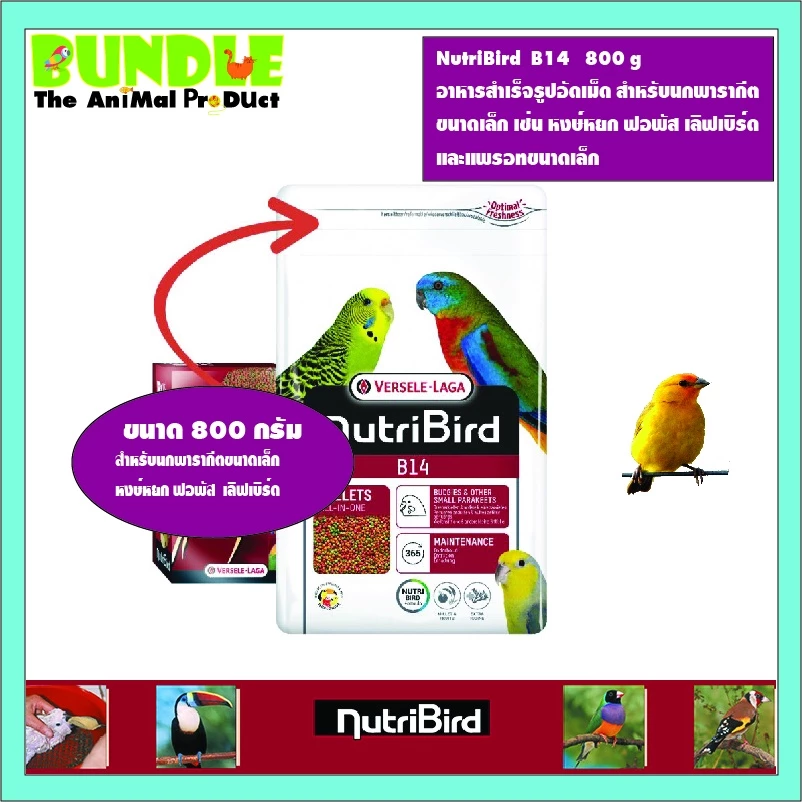 NutriBird B14 800 g อาหารสำเร็จรูปอัดเม็ด สำหรับนกพารากีต ขนาดเล็ก เช่น หงษ์หยก ฟอพัส เลิฟเบิร์ด และแพรอทขนาดเล็ก