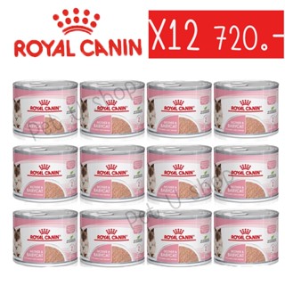 Royal Canin Mother&amp;Baby Cat 12 กระป๋อง (195 กรัม/กระป๋อง) อาหารเปียก แบบเนื้อมูส สำหรับลูกแมวและแม่แมว