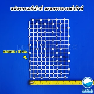แผ่นรองเลย์เอ้าท์ ตะแกรงรองเลย์เอ้าท์ มีให้เลือกหลายแบบสำหรับรองรับน้ำหนักหินอุปกรณ์ตู้ปลา