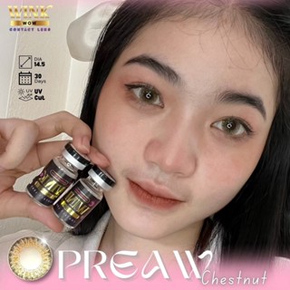 ร้านเลนส์สวยคอนแทคWink Wow รุ่น Preaw /สีGray/สี Chestnut น้ำตาลนำเข้าจากเกาหลี มี อย.มีค่าสายตาและปกติ (แฟชั่นสุด Hit ข