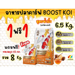 🍯สูตรน้ำผึ้ง แถมถุงเล็ก 🦪สูตรหอย แถมถัง Boost Koi 💪 อาหารปลาคาร์ฟสูตรหอยนางรม (Growth &amp; Muscle) เร่งโต+ล่ำ 6.5 kg.