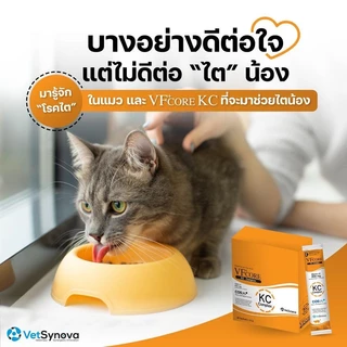 VFcore ยกกล่อง(12gx30ซอง) ขนมแมวเลียแบอาหารเสริมแมว L-Lysine เสริมภูมิ/RB บำรุงเลือด/JC บำรุงข้อต่อ/Feline Vitality
