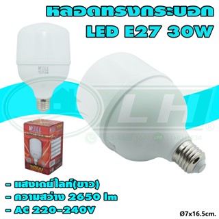 หลอด BULB ทรงกระบอก LED 30W WELL (B-30)