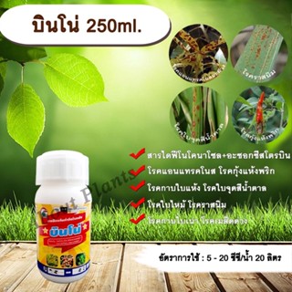 บินโน่ 250ml. ไดฟีโนโคนาโซล+อะซอกซีสโตรบิน สารป้องกันกำจัดโรคพืช กำจัดเชื้อรา โรคกาบใบแห้ง กาบใบเน่า ใบจุดสีน้ำตาล โรคเม