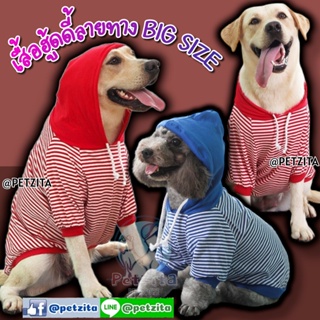 🇹🇭พร้อมส่ง🇹🇭 🐶🐕BIGSIZE เสื้อฮู้ดดี้ลายทาง สีสดใส แต่งลายภาษาจีน น่ารัก สำหรับ สุนัขพันธุ์กลาง ถึง หมาใหญ่