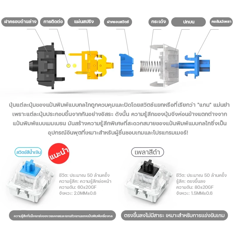 คีย์บอร์ดเกมมิ่ง Blue Switch แท้ RGB ไทย-อังกฤษ ทนทาน thumbnail 6
