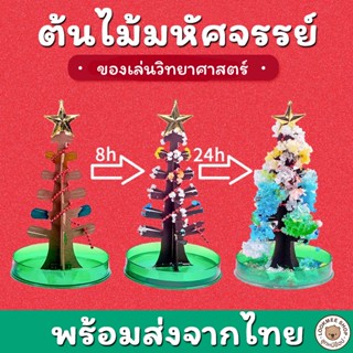 ของเล่นเด็ก Magic growing ต้นคริสต์มาสวิเศษ ต้นคริสต์มาสวิทยาศาสตร์ ของเล่นDIY พัฒนาการเติบโตใน 24ชั่วโมง ปลอดภัยมากๆ