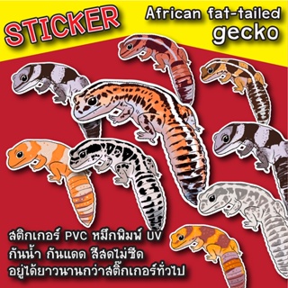 สติ๊กเกอร์ สติกเกอร์ตุ๊กแกหางอ้วน African fat-tailed gecko Sticker PVC กันน้ำ สีไม่ซีด สติกเกอร์