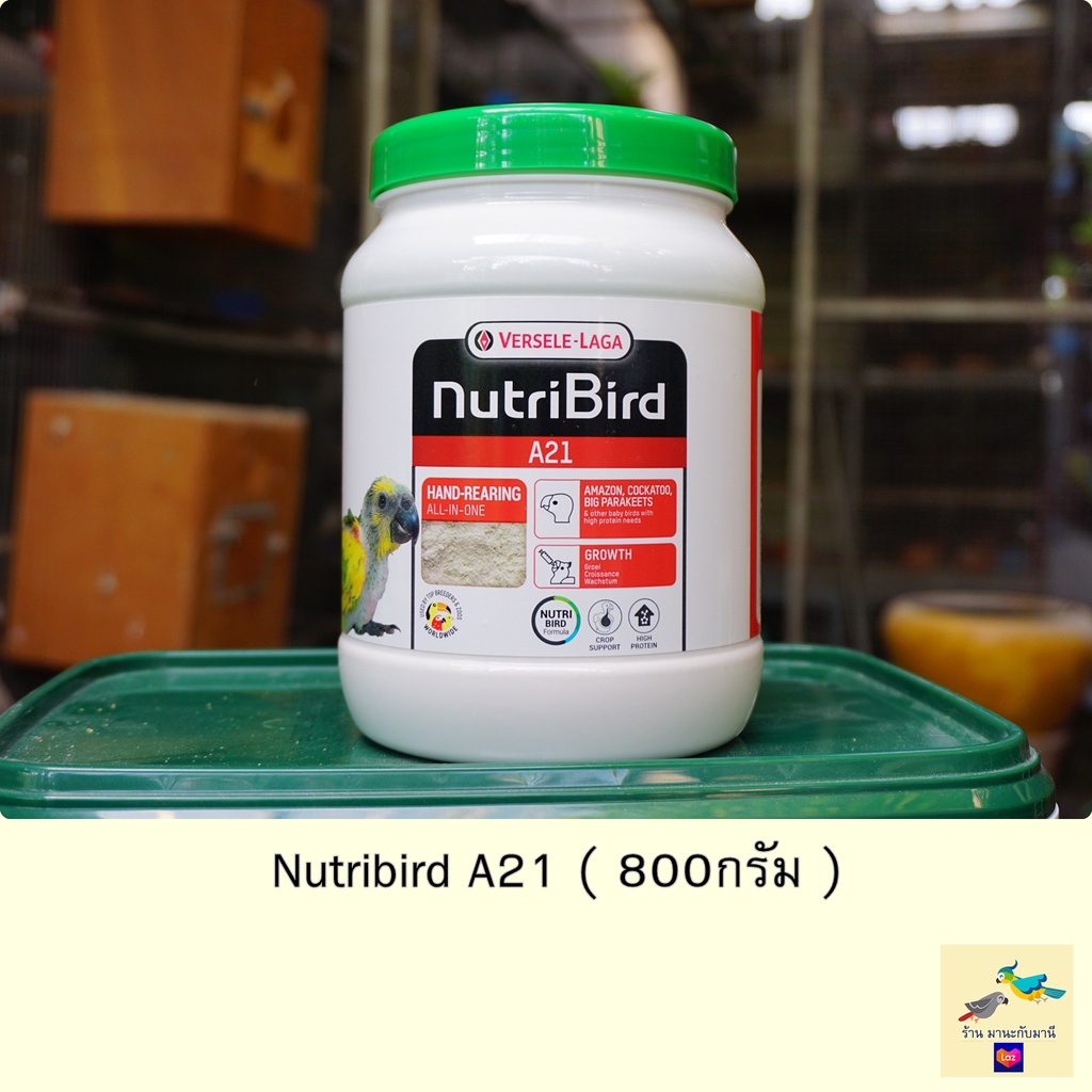 A21 อาหารลูกป้อนนก Nutribird A21 ฝาเขียว (800g)