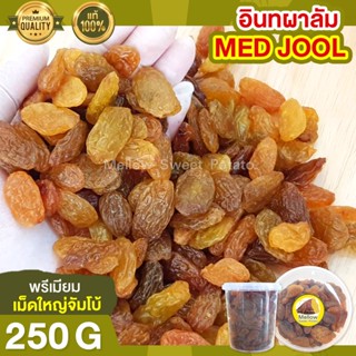 ลูกเกดสีทอง 250g ลูกเกดเหลือง เกรดพรีเมียม เม็ดใหญ่ ไซส์จัมโบ้ หวานธรรมชาติไม่มีน้ำตาล