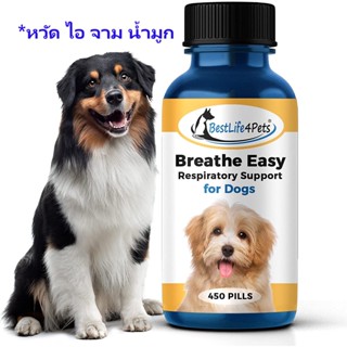 +แบ่งขาย+ DOG Easy  อาหารเสริมแมว สกัดจากธรรมชาติ