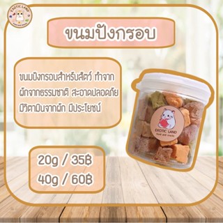 [Exotic land] ขนมปังกรอบ สำหรับแฮมเตอร์ กระรอก ชูก้า