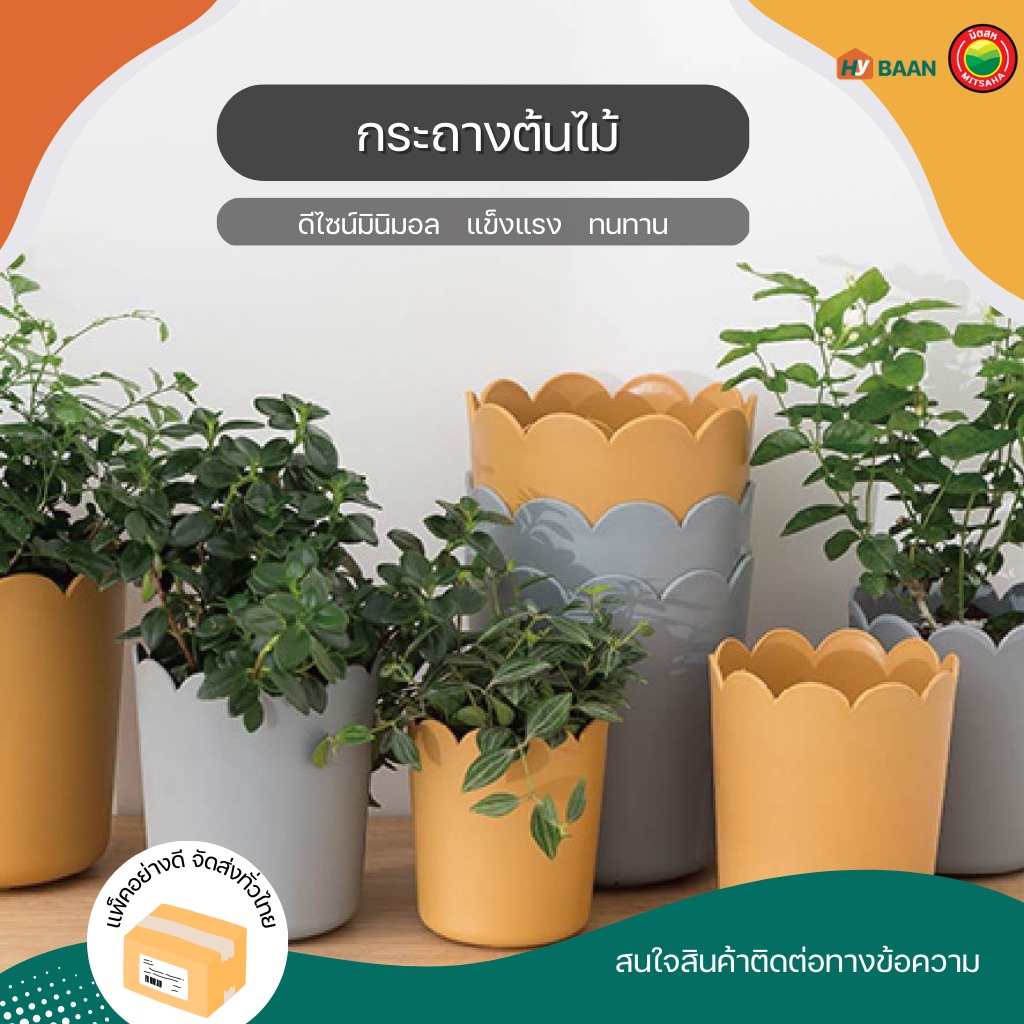 ชุดกระถางต้นไม้ Plant pot set ขนาด 3.5", 4.5", 5", 5.5", 6", 6.5", 7" กระถาง พลาสติก ขอบหยัก น่ารัก มินิมอล มิตสห Hybaan