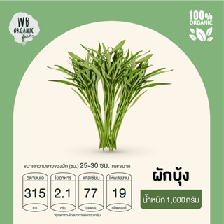 WB Organic Farm ผักบุ้ง 1000 กรัม ผักสลัด มาตรฐานออร์แกนิค ปลอดสารพิษ 100%  เก็บใหม่ทุกออเดอร์ เก็บ-แพ็ค-ส่งตรงจากฟาร์