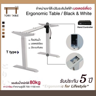 รุ่น 1 มอเตอร์ ขาโต๊ะปรับระดับไฟฟ้า ระยะความสูง 70ซม.-115ซม. มอเตอร์คู่ รับน้ำหนักได้80 kg