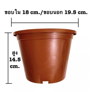 แพ็ค5ใบ กระถางต้นไม้ กระถาง กระถางพลาสติก ไม่มีลาย ขนาด 19.5x14.5 cm.