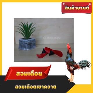 เดือยไก่ชนสินค้าสำหรับไก่ชน เดือยเขาควาย