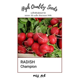 เมล็ดแรดิช Radish Champion นำเข้าจากสหรัฐอเมริกา