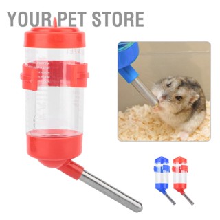 Your Pet Store ขวดน้ําดื่ม ขนาดเล็ก สําหรับหนูแฮมสเตอร์ เม่น