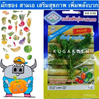 ผลิตภัณฑ์ใหม่ เมล็ดพันธุ์ เมล็ดพันธุ์คุณภาพสูงในสต็อกในประเทศไทยAAA   ผักซอง สามเอ A038#หอมแย้ พันธุ์ ธารโต เมล /ผักชี I