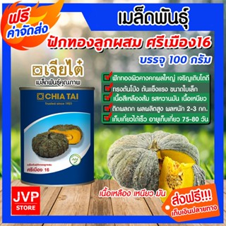 **ส่งฟรี**เมล็ดพันธุ์ฟักทองศรีเมือง16 ขนาด 100กรัม ลูกใหญ่ เนื้อมัน น้ำหนักดี ปลูกง่าย โตไว ให้ผลผลิตดี