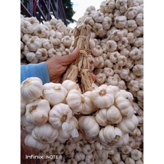 กระเทียมไทย 100% จัมโบ้ ผลผลิตจากยางชุมน้อย ศรีสะเกษ แก่จัดทุกหัว น้ำหนัก ครึ่งกิโหลกรัม
