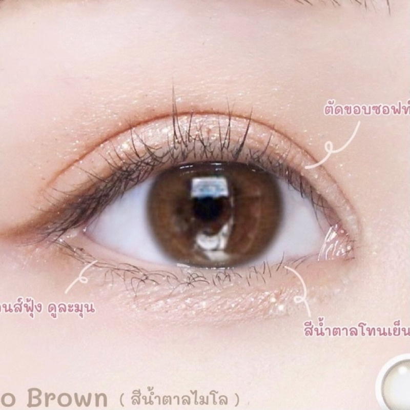 คอนแทคเลนส์ Crimo Brown - Gaezz Secret สีน้ำตาลขนาดมินิตาหวานธรรมชาติ มีสายตาถึง -10.00