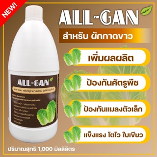 ปุ๋ยน้ำผักกาดขาวALL GAN1000mlป้องกันแมลงตัวเล็กๆห่อแน่นใบสวยหวานกรอบสูตรเข้มข้นชนิดพิเศษใช้ได้นานจากธรรมชาติ100%